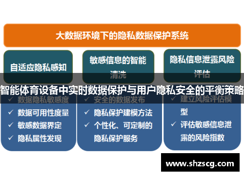 智能体育设备中实时数据保护与用户隐私安全的平衡策略