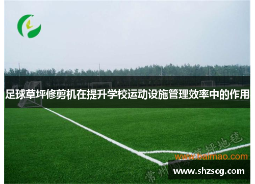 足球草坪修剪机在提升学校运动设施管理效率中的作用